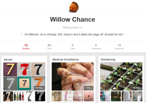 Willow Chance on Pinterest_10-27_20-10