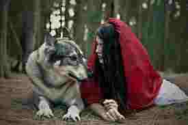 image of little red and wolf