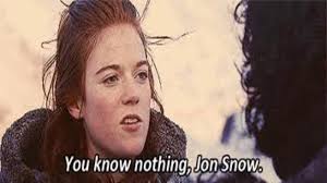 meme from Game of thrones: you know nothing Jon Snow